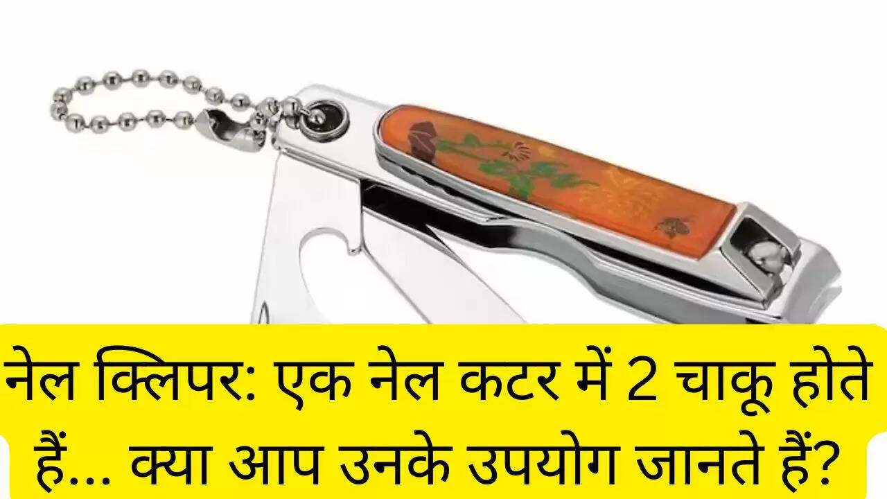नेल क्लिपर: एक नेल कटर में 2 चाकू होते हैं... क्या आप उनके उपयोग जानते हैं?