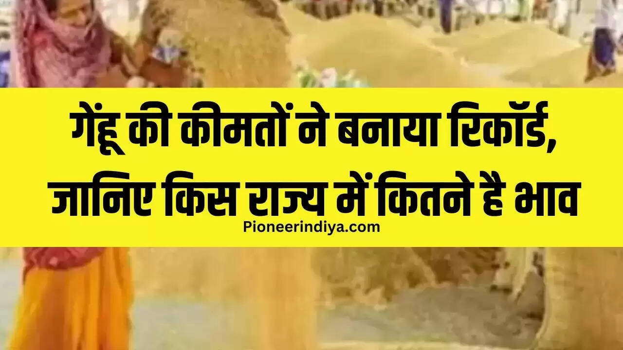 गेंहू की कीमतों ने बनाया रिकॉर्ड, जानिए किस राज्य में कितने है भाव