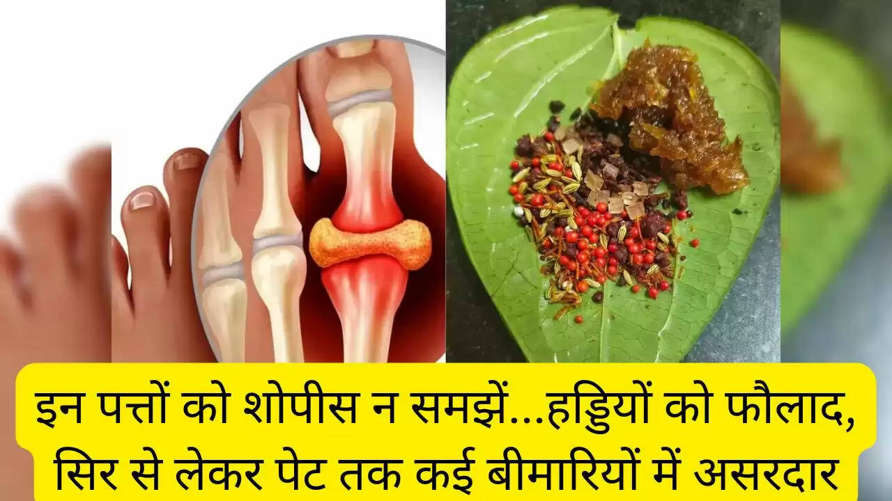 इन पत्तों को शोपीस न समझें...हड्डियों को फौलाद, सिर से लेकर पेट तक कई बीमारियों में असरदार