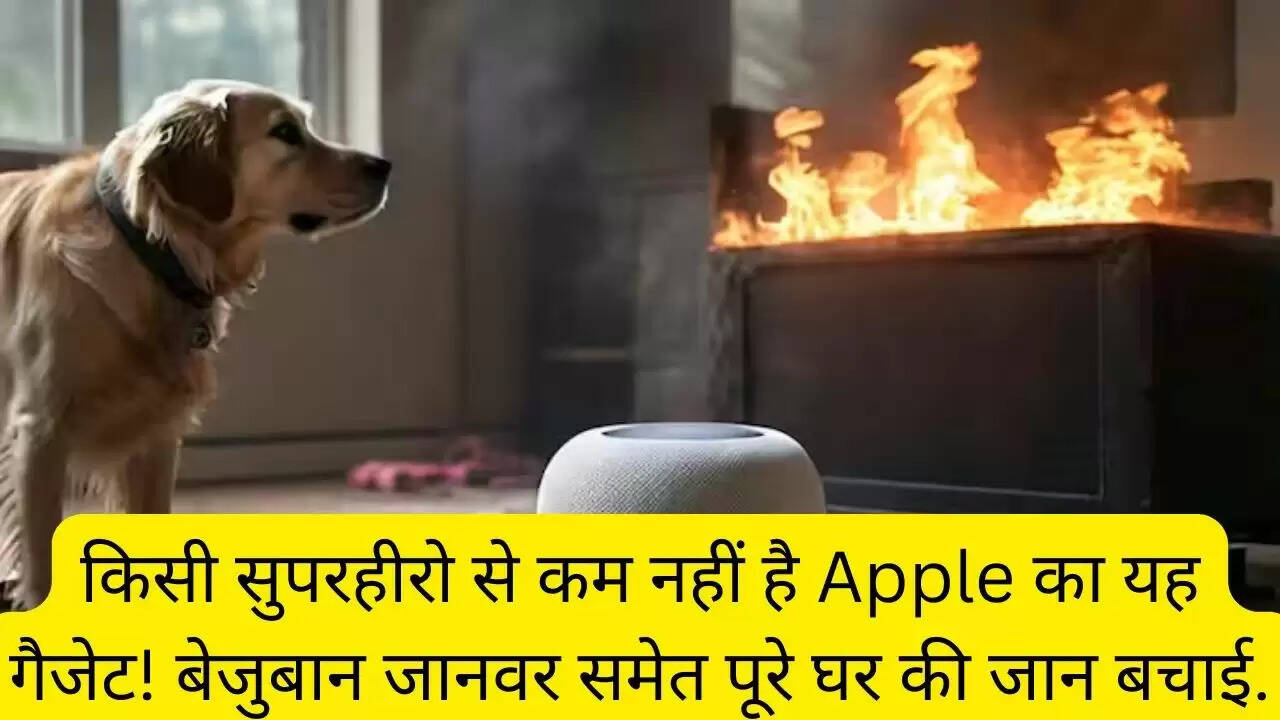 किसी सुपरहीरो से कम नहीं है Apple का यह गैजेट! बेजुबान जानवर समेत पूरे घर की जान बचाई.