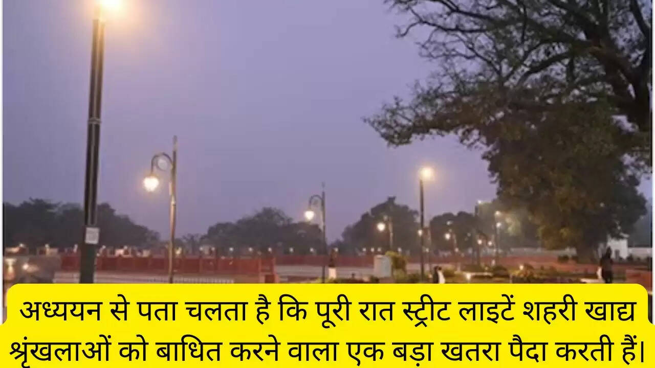अध्ययन से पता चलता है कि पूरी रात स्ट्रीट लाइटें शहरी खाद्य श्रृंखलाओं को बाधित करने वाला एक बड़ा खतरा पैदा करती हैं।