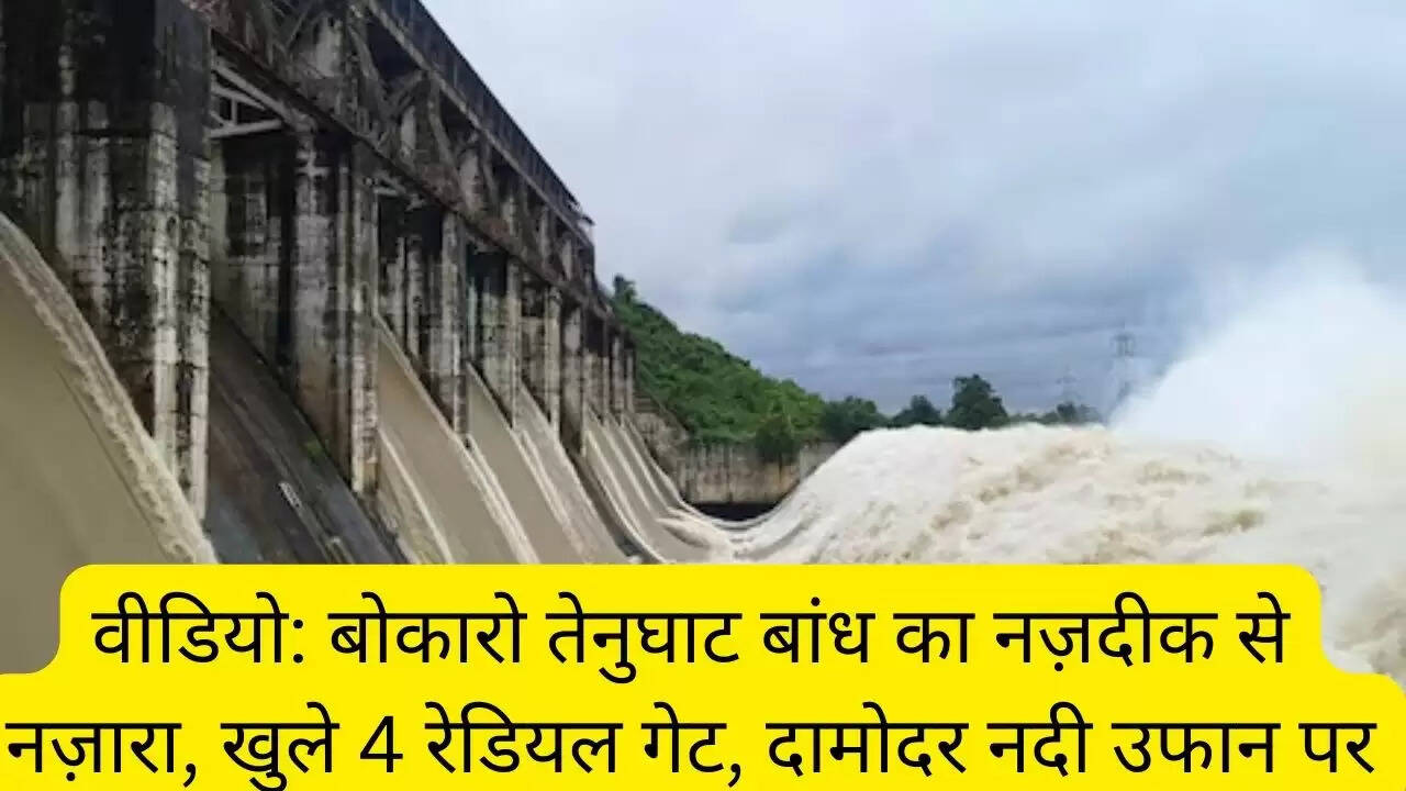 वीडियो: बोकारो तेनुघाट बांध का नज़दीक से नज़ारा, खुले 4 रेडियल गेट, दामोदर नदी उफान पर