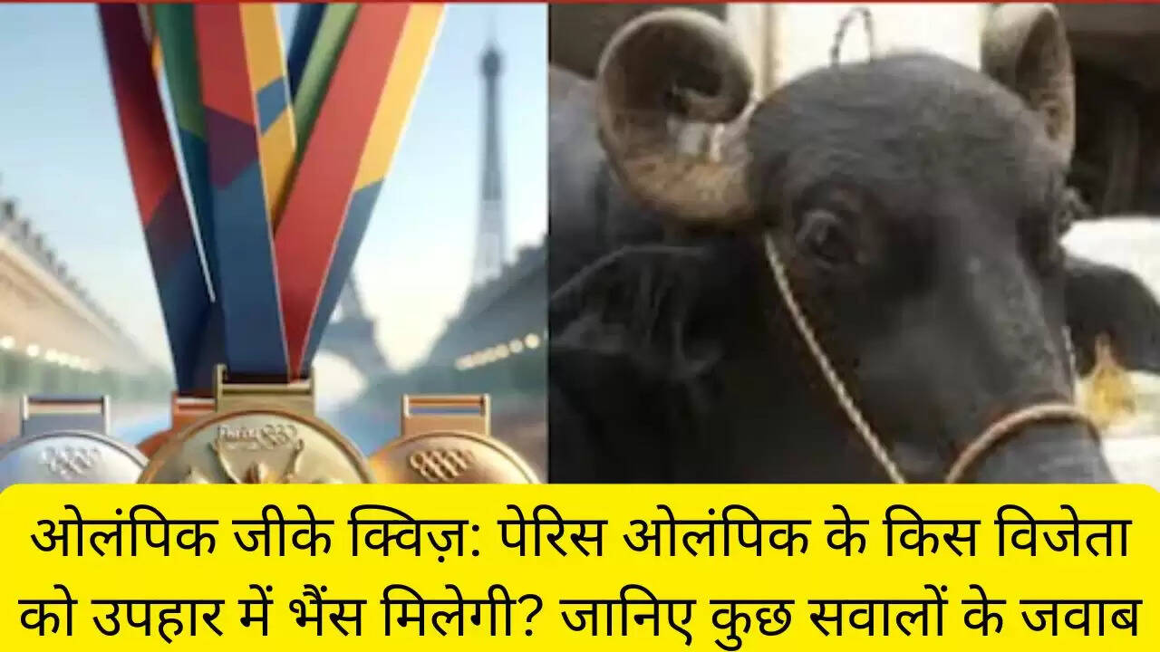 ओलंपिक जीके क्विज़: पेरिस ओलंपिक के किस विजेता को उपहार में भैंस मिलेगी? जानिए कुछ सवालों के जवाब